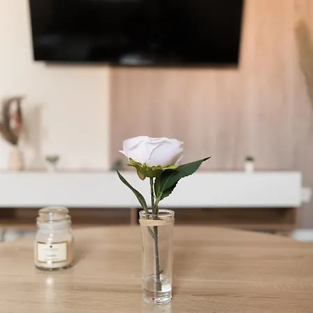 Mélissa - Lumineux, Moderne - Gare - Wifi - Stream Apartamento *